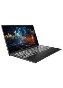 Captiva Business-Notebook »Power Starter I91-110«