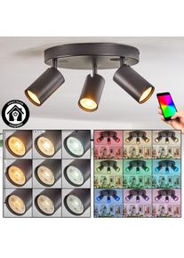 hofstein Foren Plafondlamp, Plafondspot LED Zwart, 3-lichts, Kleurwisselaar