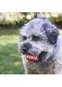 Kong Signature Balls S (2 Stücke) (Wurfspielzeug Hund), Hundespielzeug
