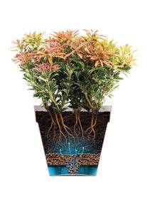 Elho, Blumentopf, Loft Urban (24.50 cm)