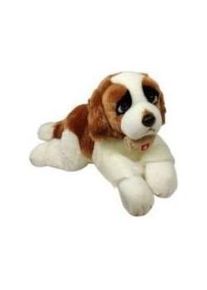 Dubi Bernhardiner mit einem Lauf 61 cm (61 cm)