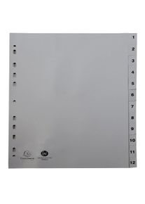 Exacompta - Cod. 1912E - Divisori per raccoglitori ad anelli con 12 tasti numerici 1-12 - Polipropilene riciclato grigio - A4 - 20 pezzi