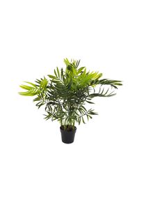 Pianta Palma Nana Chamerox 53 Cm