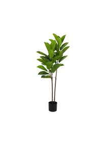 Pianta Ficus Elastica 140 Cm