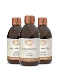 Bärbel Drexel Magnesium 300 Orange-Maracuja Konzentrat