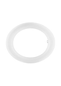 Tubo LED T9 Circular 12W Luz Fría 22 Osram
