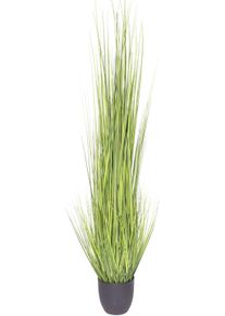 Botanic-Haus Kunstgras Gras Festuca (1 stuk) kunstgrassen groen