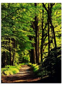 Artland Print op glas Weg in het bos in verschillende maten landschappen groen