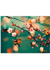 Artland Print op glas Japanse kers Sakura bloemen bloemen blauw