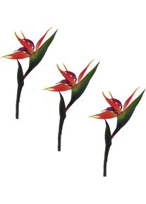 Creativ green Kunstbloem Strelitzia (3 stuks) kunstbloemen multicolor