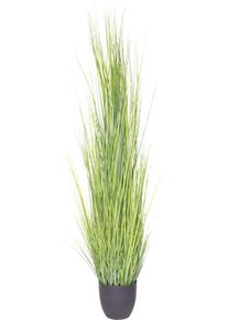 Botanic-Haus Kunstgras Gras Festuca (1 stuk) kunstgrassen groen