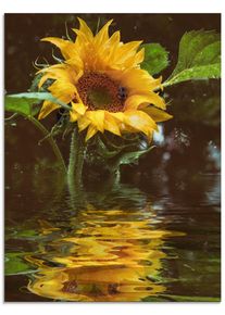 Artland Print op glas Zonnebloem met waterreflectie bloemen geel