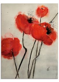 Artland Print op glas Rode klaproos in verschillende maten glazen artprint rood