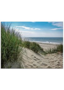 Artland Print op glas Duinlandschap in de zomer aan de Noordzee landschappen groen