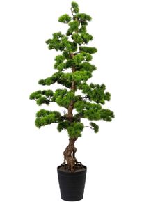 Creativ green Kunstbonsai Bonsai grenen (1 stuk) kunstbonsais groen