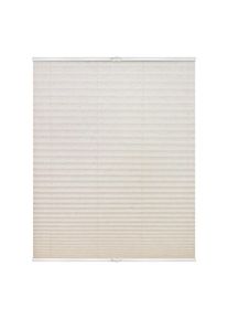 LICHTBLICK ORIGINAL , Plissee »Plissee Klemmfix, ohne Bohren, verspannt« blickdicht ohne Bohren verspannt lichtdurchlässig, blickdicht , Natur +...