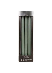 Asp-Holmblad Selbstverl&ouml;schende Stabkerzen Mossgreen