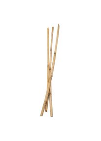 Colorations - Bamboo sticks 50cm 3 pcs.