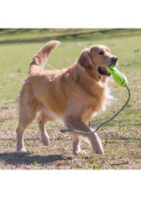 Kong Hundespielzeug Airdog Fetch Stick mit Seil