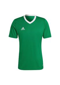 adidas Performance Koszulka funkcyjna 'Entrada 22' dla mężczyzn trawa zielona / biały Rozmiar M