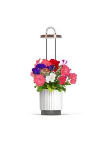 Click & Grow HydroVase Grow Fresh Plants Indoors All Year Round with LED Lighting and Self-Watering System - White