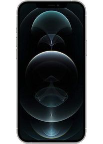 Apple iPhone 12 Pro Max | 128 GB | argento