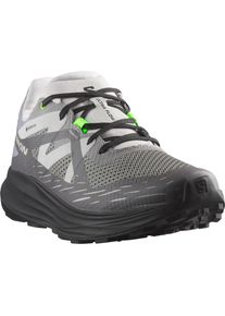 Salomon, Herren, Laufschuh &raquo;ULTRA FLOW GORE TEX&laquo; wasserdicht, Sharkskin, 46, Sharkskin, Leichter Laufschuh von Salomon