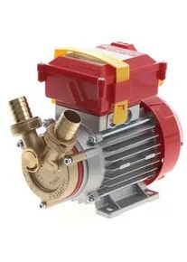 Rover 25 Bypass, Elektrische Umf&uuml;llpumpe aus Bronze - 230V