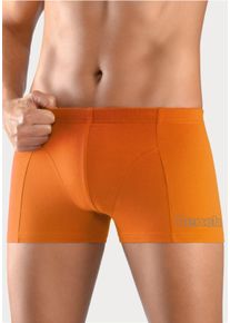 Bench Herren Boxer in schwarz, türkis, orange, lila ,Größe S, Witt, 95% Baumwolle, 5% Elasthan