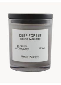 Frama Vela perfumada Deep Forest (laranja, rosa branca, madeira de cedro & patchouli) Ø 7 x Alt 9 cm