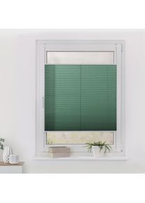 LICHTBLICK ORIGINAL , Plissee »Klemmfix« Lichtschutz ohne Bohren verspannt Faltenstore , Salbei + weiß + weiß , 130 cm