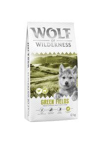 2 x 12 kg Wolf of Wilderness Junior "Green Fields" agneau, sans c&eacute;r&eacute;ales