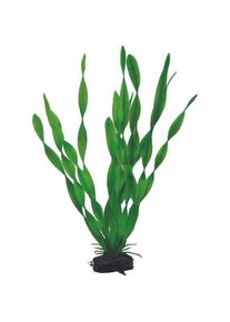 Dohse Vallisneria, 34 cm (Dekoration, sonstige Gegenstände), Aquarium Dekoration
