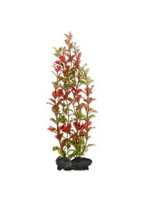 Dekor&aacute;cia Tetra Rastlina Red Ludwigia L 30cm