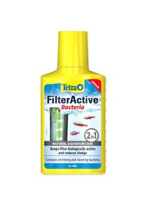 Prípravok Tetra Filter Active 100ml