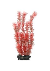 Dekor&aacute;cia Tetra Rastlina Tetra Foxtail Red L 30cm