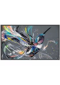 Philips Pantalla plana de señalización digital Q-Line de Philips de 139,7 cm (55") IPS 400 cd/m² 4K Ultra HD Negro