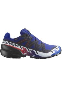 Salomon XA PRO 3D V9 GTX M - Trailrunning Schuhe - Herren