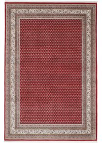 Mir Szőnyeg 200 x 300 (Indian) Kézzel Csomózott