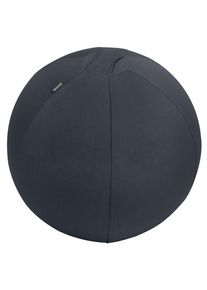 Balón de asiento antideslizante Leitz Ergo Active 55cm (65410089)