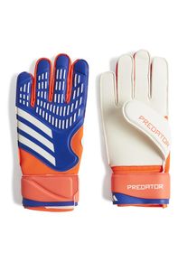 adidas Performance Sportkesztyűk 'Predator Match Goalkeeper' F&eacute;rfi k&eacute;k , M&eacute;ret XXL