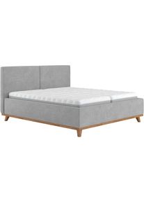 COTTA , Polsterbett »MILLI III wahlweise mit Bettkasten« , steel