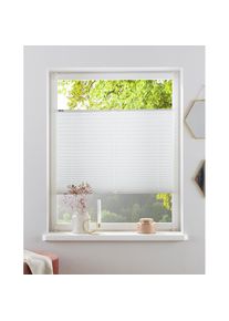 OTTO home , Plissee »DAHRA - in Crush-Optik« Lichtschutz ohne Bohren verspannt Fixmaß, Bestseller mit über 5500 4,5-Sterne-Bewertungen, Klemmträger...
