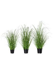 Creativ green Kunstgras Miscanthus (set, 3 stuks) kunstgrassen groen