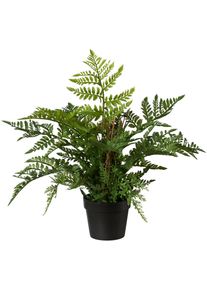 Creativ green Kunstplant Varen in een plastic pot (1 stuk) kunstplanten groen