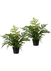 Creativ green Kunst-potplanten (2 stuks) kunstplanten groen