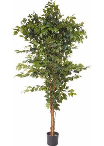Creativ green Kunstplant Ficus Benjamini (1 stuk) kunstplanten groen