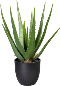 Creativ green Kunst-potplanten Aloe (1 stuk) kunstplanten groen