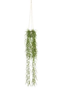 Creativ green Kunstplant Tillandsia aeranthos in een hangende pot (1 stuk) kunstplanten groen