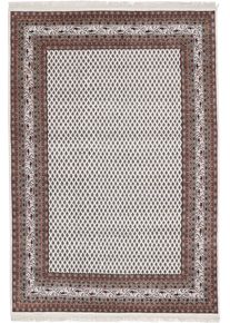 Mir Teppe 200 x 290 (Indian) Håndknyttet